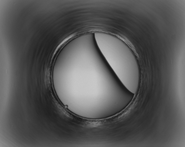 X0000086720798200704130727