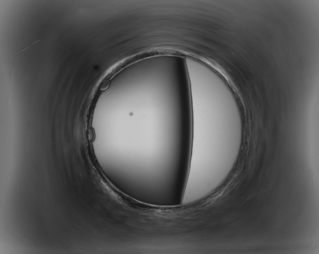 X0000086720799200704130727