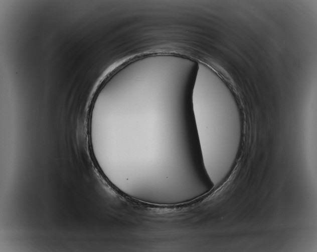 X0000086720800200704130727
