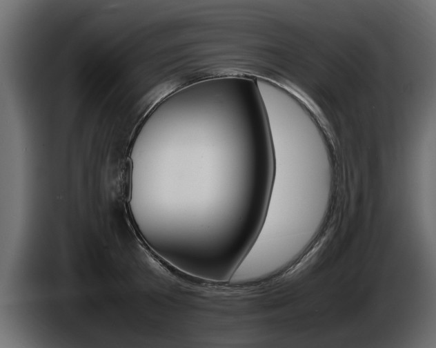 X0000086720801200704130727