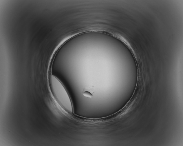 X0000086720803200704130727