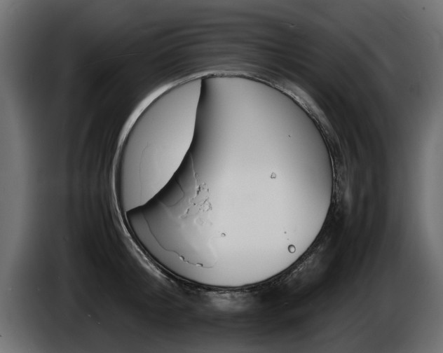 X0000086720804200704130727