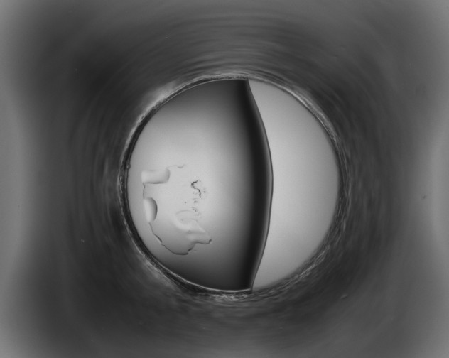X0000086720805200704130727