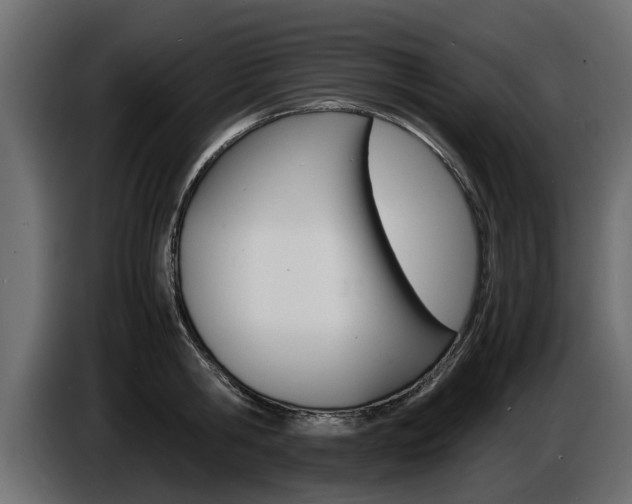 X0000086720806200704130727