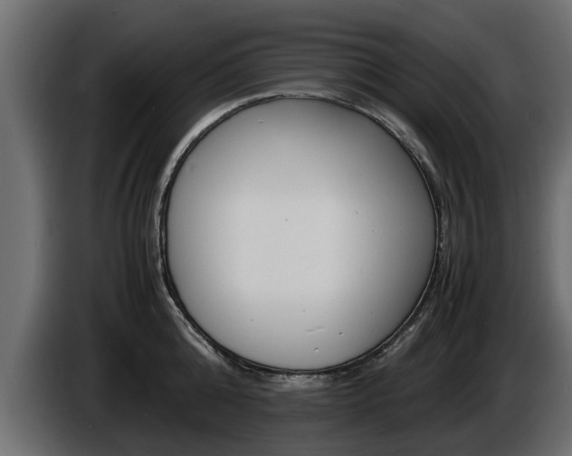 X0000086720808200704130727
