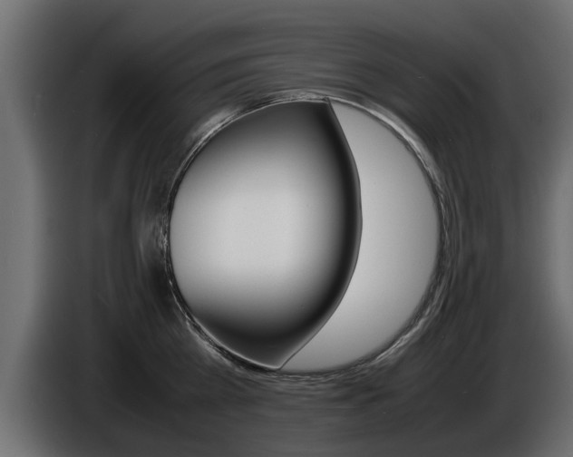 X0000086720809200704130727