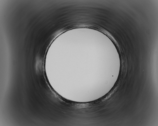 X0000086720810200704130727