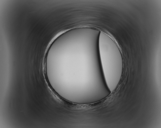 X0000086720811200704130727