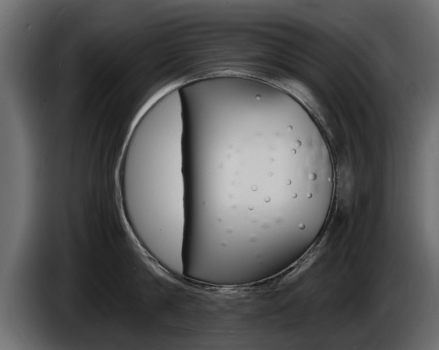 X0000086720814200704130727