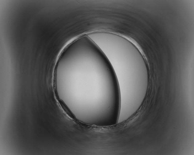 X0000086720815200704130727