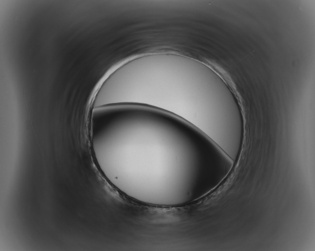 X0000086720816200704130727
