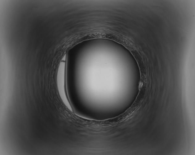 X0000086720818200704130726