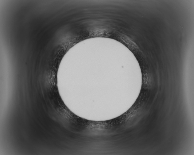 X0000086720820200704130726
