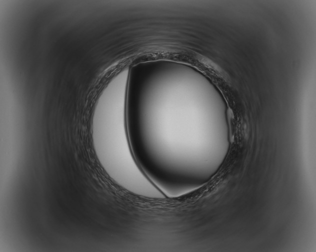 X0000086720822200704130726