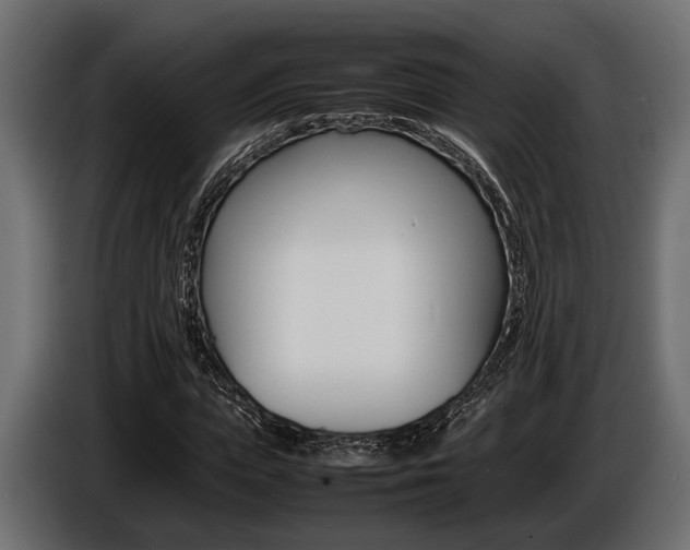 X0000086720823200704130726