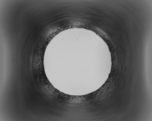 X0000086720824200704130726