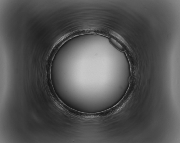 X0000086720826200704130726