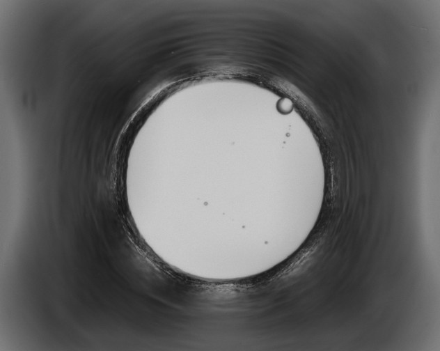 X0000086720828200704130726