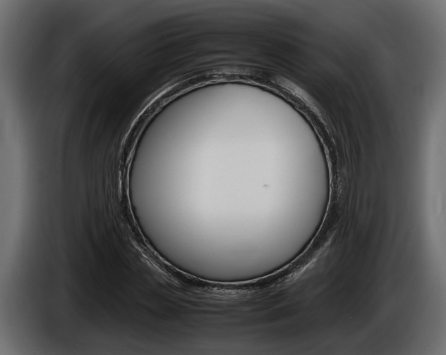 X0000086720829200704130726