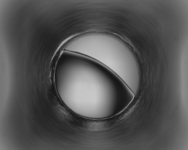 X0000086720830200704130726