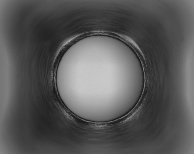 X0000086720831200704130726