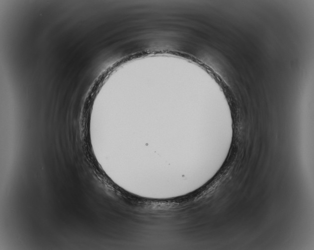 X0000086720832200704130726