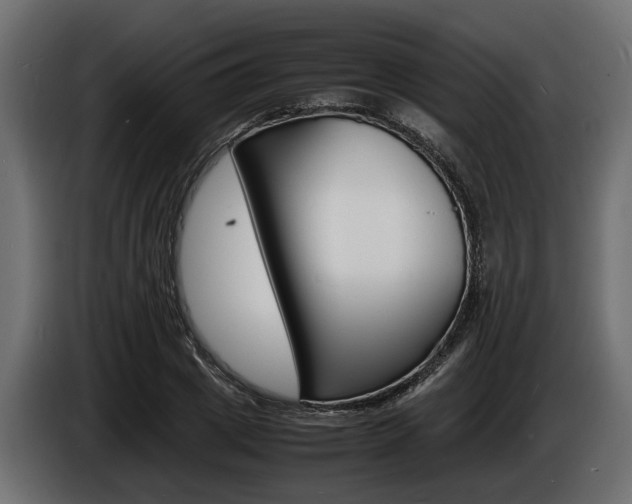 X0000086720833200704130726