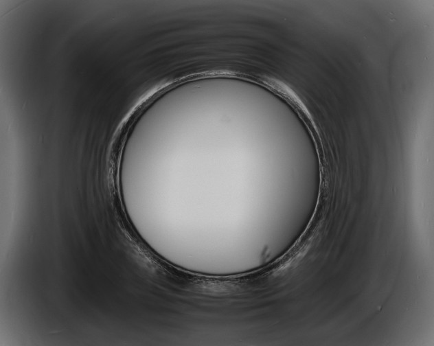 X0000086720835200704130726