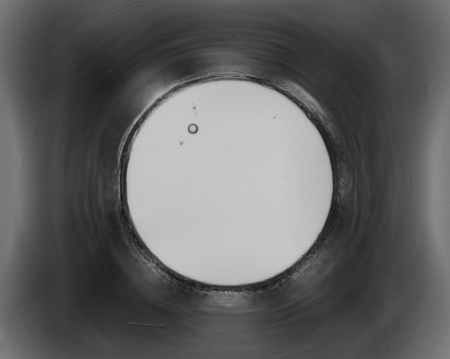 X0000086720836200704130726