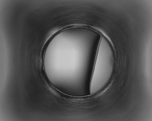 X0000086720837200704130726