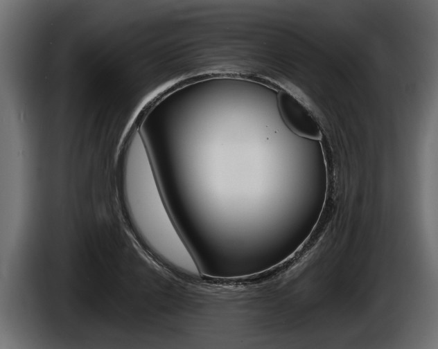 X0000086720838200704130726