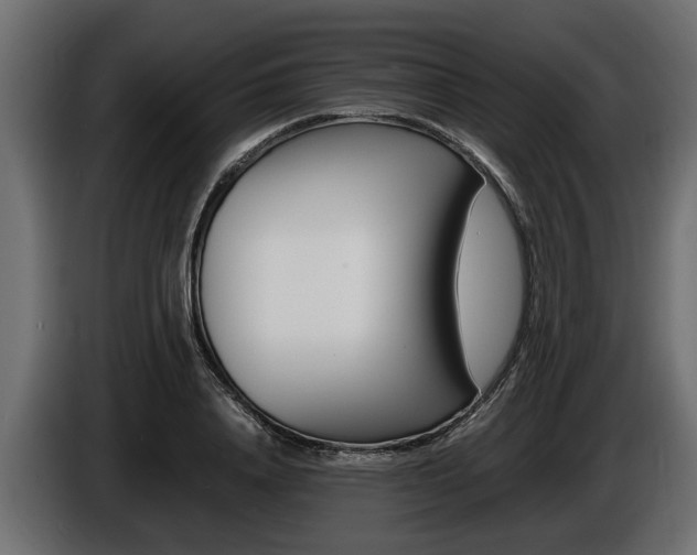 X0000086720840200704130726
