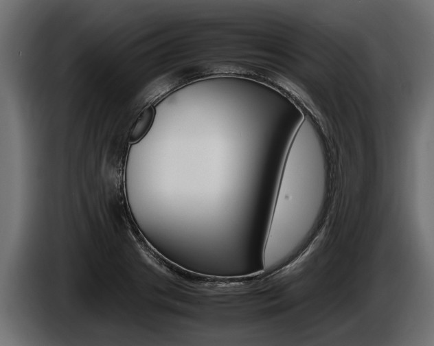 X0000086720841200704130726
