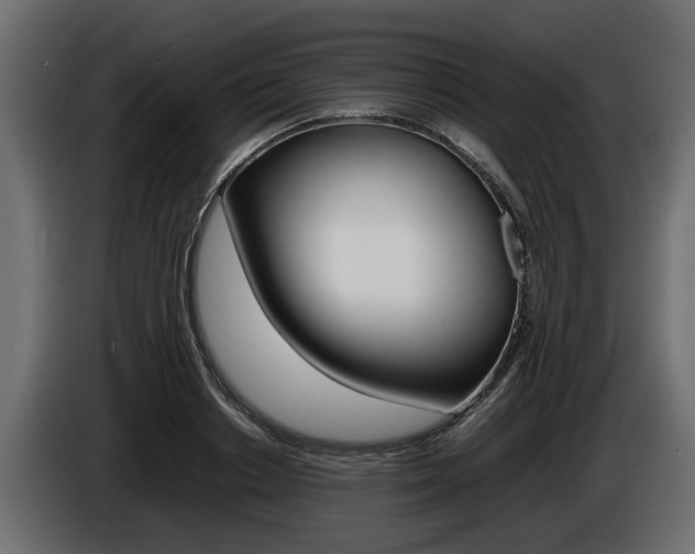X0000086720842200704130726