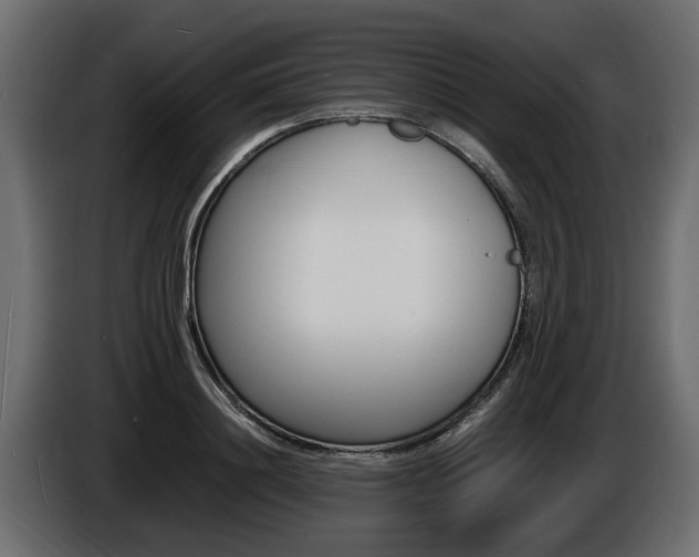 X0000086720844200704130726