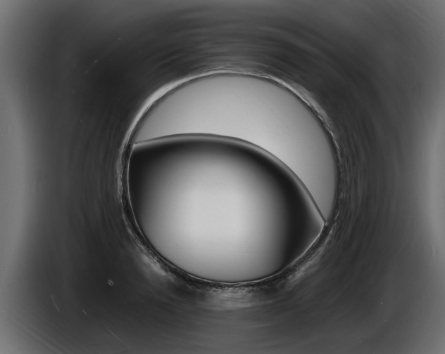 X0000086720846200704130726