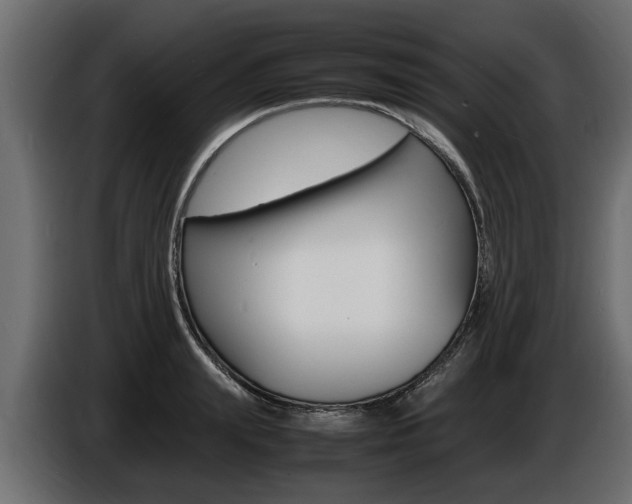 X0000086720847200704130726