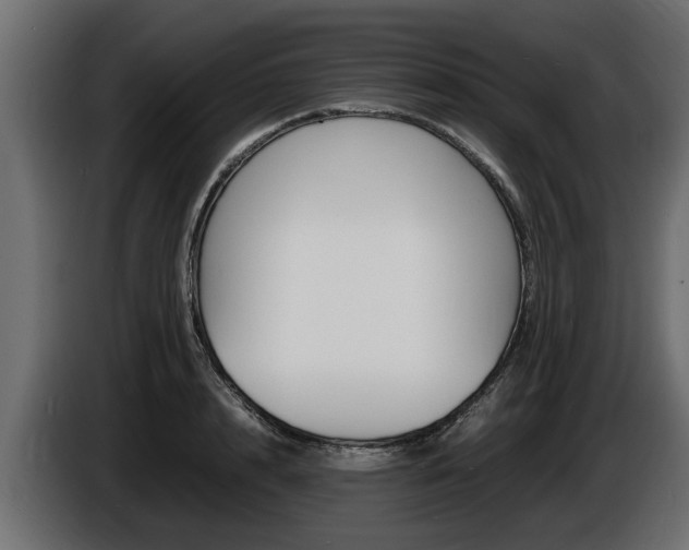 X0000086720848200704130726