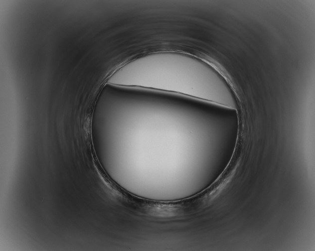 X0000086720849200704130726