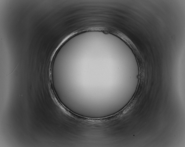 X0000086720852200704130726