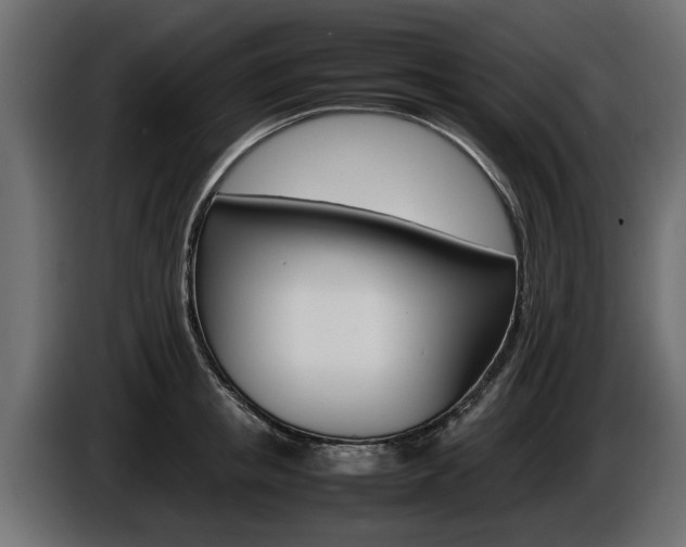 X0000086720853200704130726