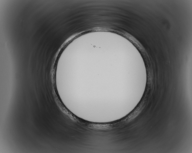 X0000086720856200704130727