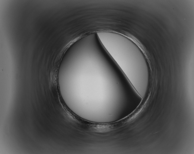 X0000086720857200704130727