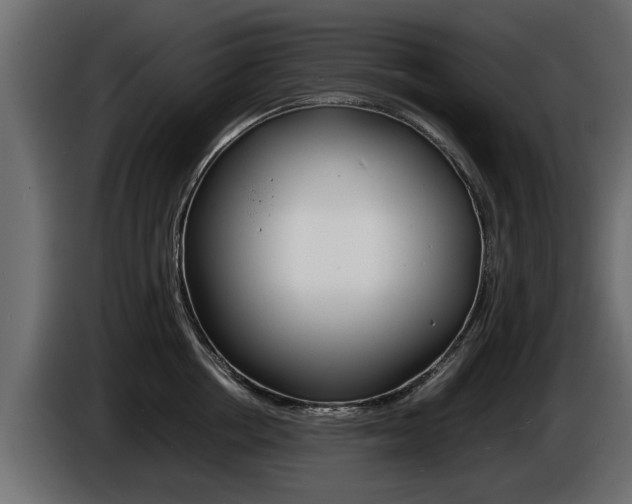 X0000086720858200704130727