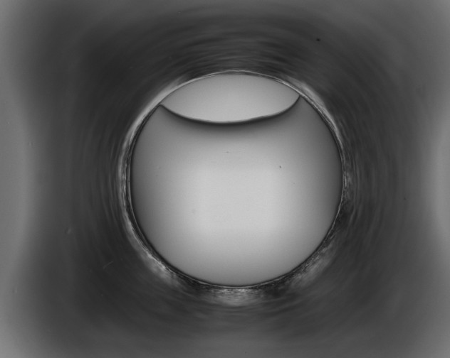 X0000086720859200704130727