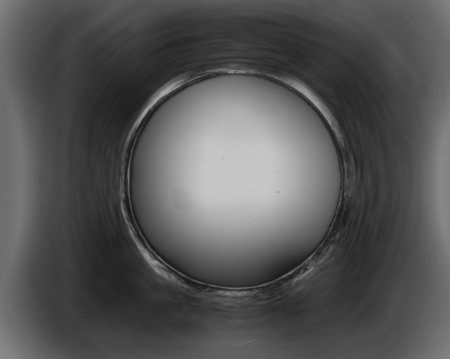 X0000086720861200704130727