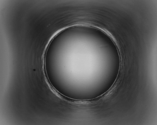 X0000086720862200704130727