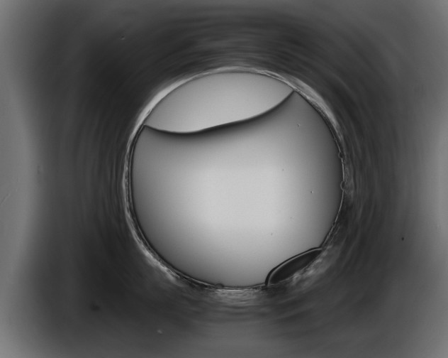 X0000086720863200704130727