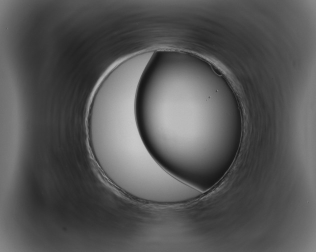 X0000086720864200704130727