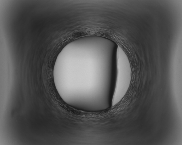 X0000086720865200704130726